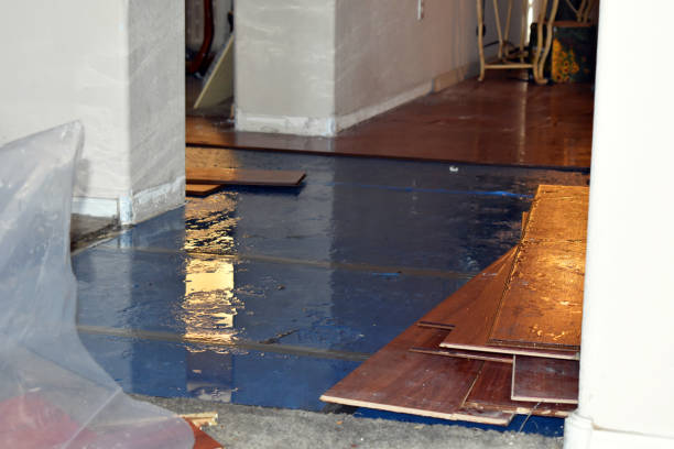 Professional Basement Flood Cleanup technician working in Garfield, TX